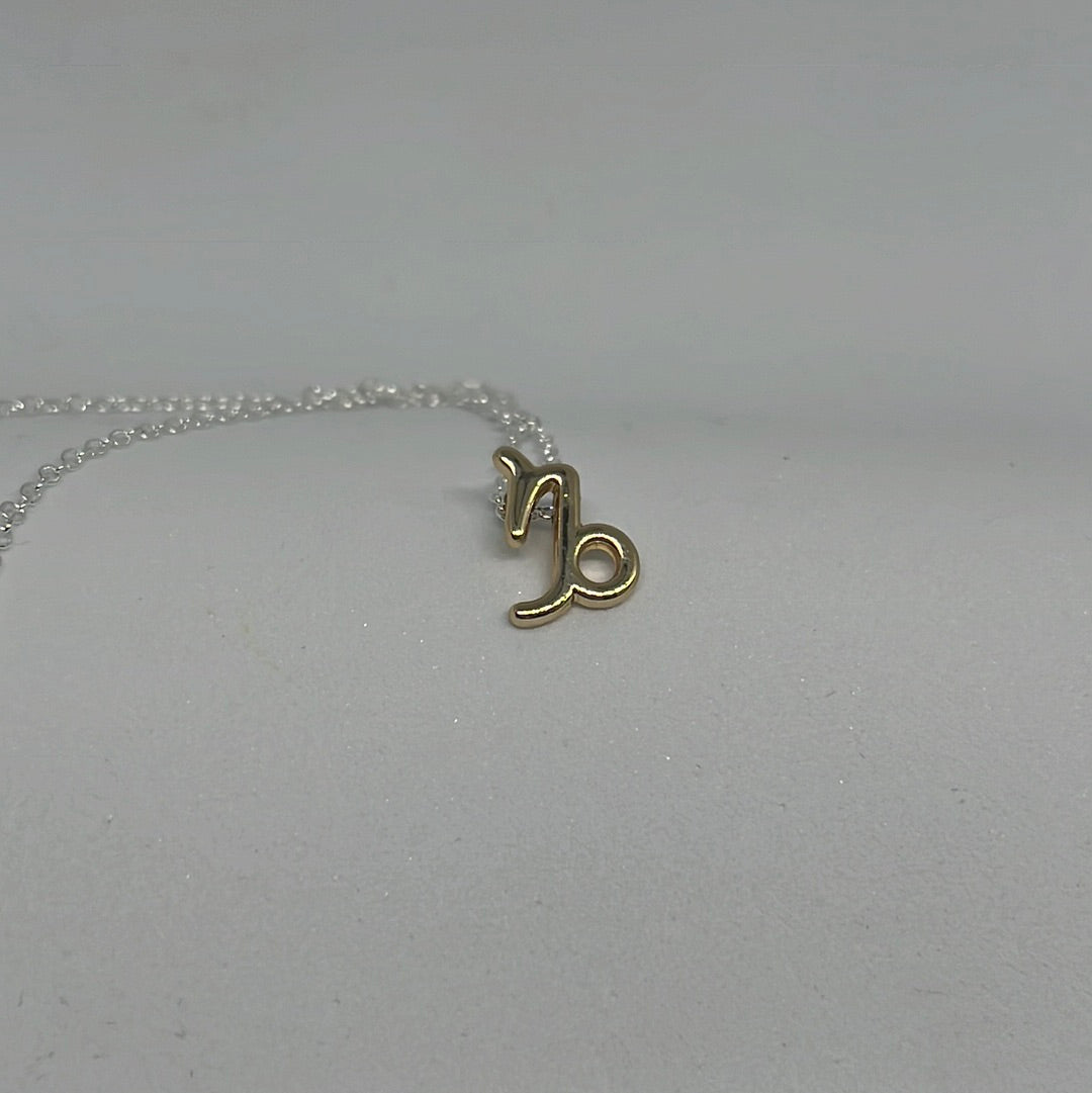 Zodiac Sign Necklaces