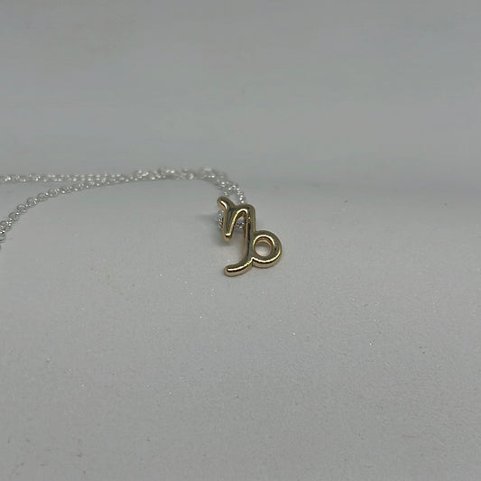 Zodiac Sign Necklaces