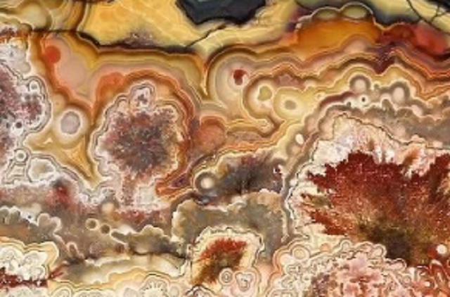 crazy lace agate picture