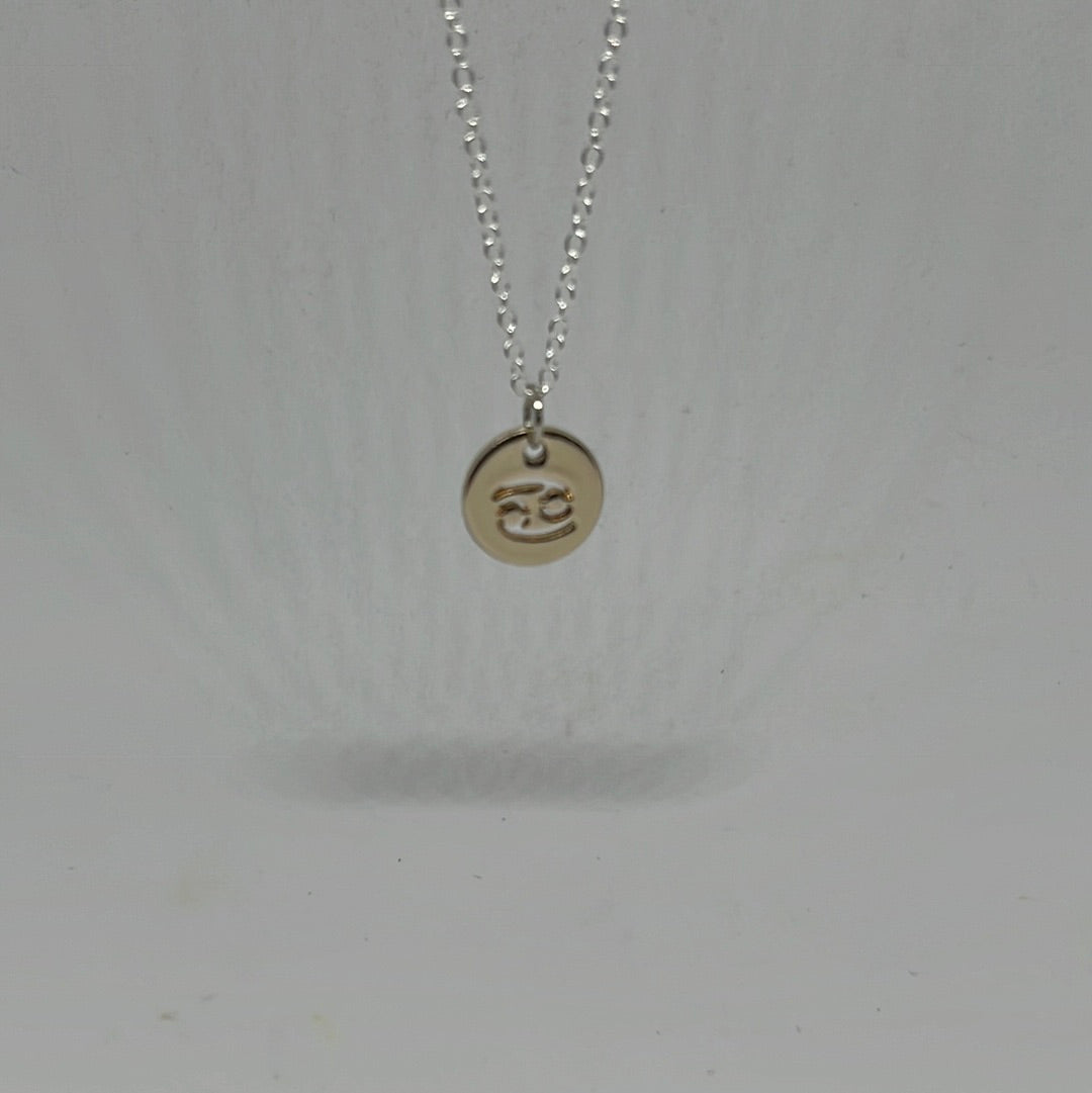 Zodiac Gold Symbol Necklace