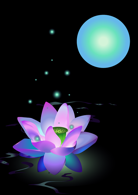 lotus-flower-under-the-moon