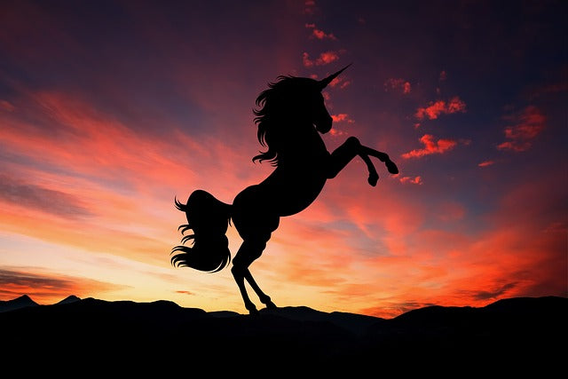 unicorn-rearing-in-the-sunset