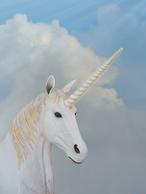 unicorn