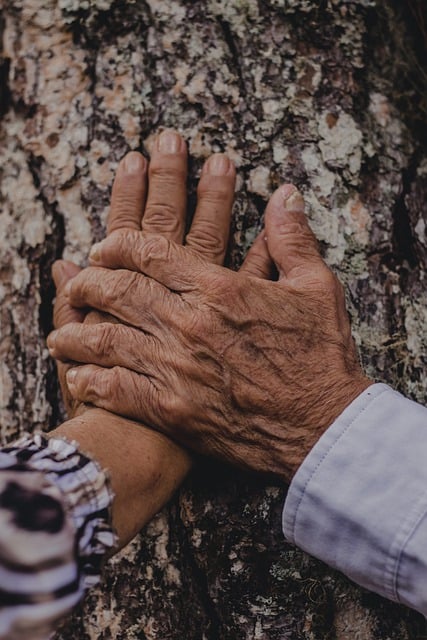 old-hands-touching-a-tree