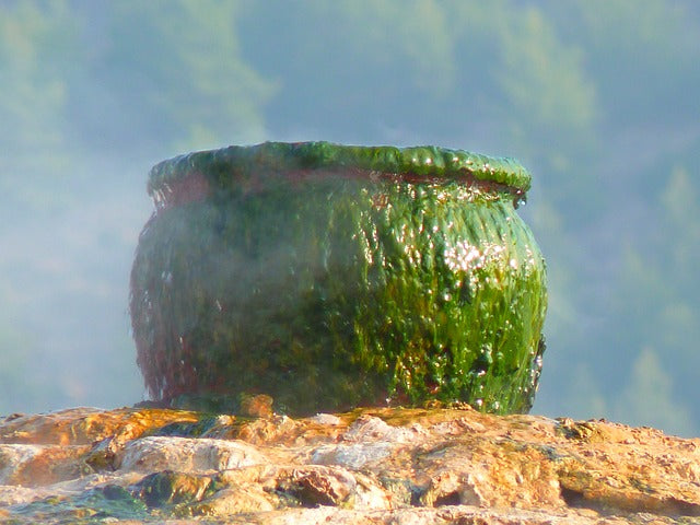 cauldron-covered-in-green-goop