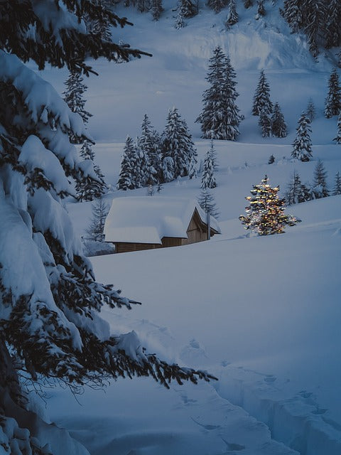 winter snow scene